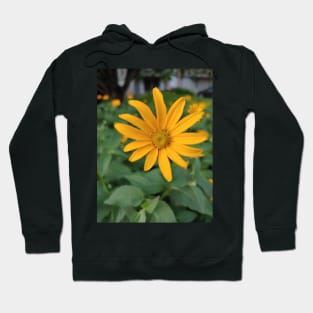 Daisy Hoodie